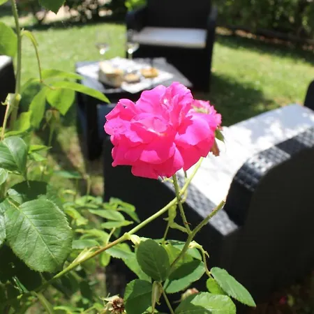 Agriturismo Cardella Farmház Piobbico